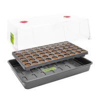 ROOT IT Dry Peat Free - 60 Cell Propagator Kit