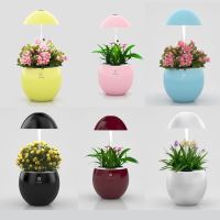 LED Home System-UrbanGreen I-Grow G301A,(white 3LED) - různé barvy