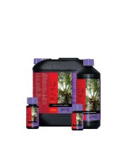 Atami B'cuzz Booster Coco, 1L