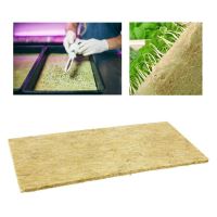 GRODAN Cress Plate Microgreens, 49.5x24x1cm