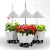 Red/White LED Home System-UrbanGreen I-Grow G601-C, 40W, ve slevě